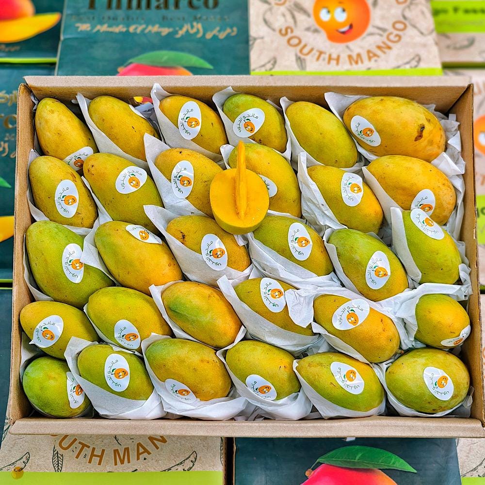 And the Egyptian season's mango